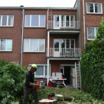 Vellen van bomen, boomverzorging Buyens