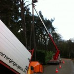 Vellen van bomen, boomverzorging Buyens