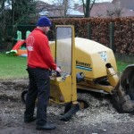 Frezen & uitgraven van wortels, boomverzorging Buyens