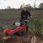 Frezen & uitgraven van wortels, boomverzorging Buyens