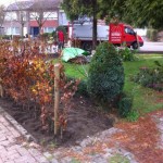 Totaalproject, boomverzorging Buyens